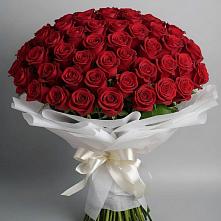 Букет 101 Красная роза Блэк Мэджик #REPLACE_PRED# Ольховатке