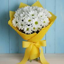Букет цветов из:  Хризантемы в Ольховатке