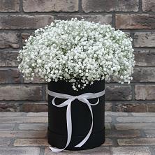 Цветочная композиция из Гипсофила в шляпной коробке в Ольховатке